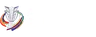 AFC Asian Cup logo small