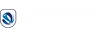 Chile Segunda División logo small