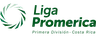 Costa-Rica Liga FPD logo small
