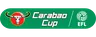 EFL Cup logo small