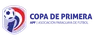 Paraguayan Primera Division logo small