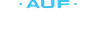 Uruguayan Segunda División logo small