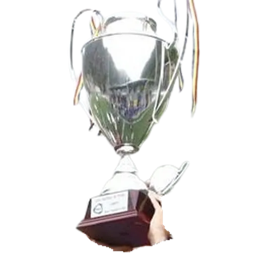 Andorran 1a Divisió trophy