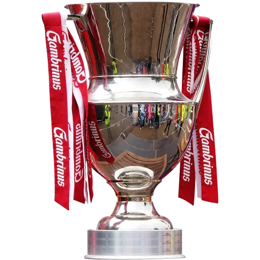 Czech First League trophy