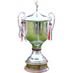Hungarian NB I trophy