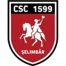 1599 Șelimbăr logo small