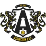 Ashington logo small