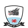 Baglan Dragons logo small