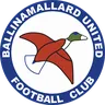 Ballinamallard United logo small