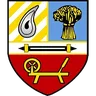 Banbridge Town logo small