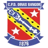 Bangor City logo small