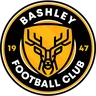 Bashley logo small