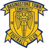 Basingstoke Town logo small
