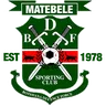 BDF XI logo small