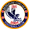 Berekum Chelsea logo small
