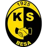 Besa logo small