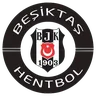 Beşiktaş JK Handball logo