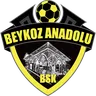 Beykoz Anadolu logo small