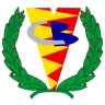 BM Valladolid logo