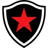 Botafogo-PB logo small