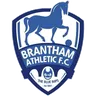 Brantham Athletic logo small