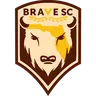 Brave SC logo small
