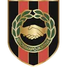 Brommapojkarna logo