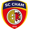 Cham logo small