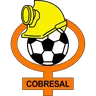 Cobresal logo small