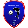 Dauphins Noirs logo small