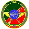 Defence Force S.C. logo small