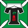 Deportes Temuco logo small