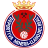 Deportiva Minera logo small
