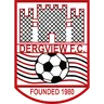 Dergview logo small