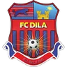 Dila Gori logo small