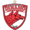 Dinamo București logo small