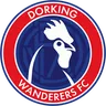 Dorking Wanderers logo small
