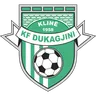 Dukagjini logo small