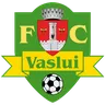FC Vaslui logo small