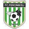Feronikeli logo small