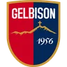 Gelbison logo small