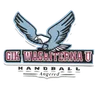 GIK Wasaiterna Handboll logo