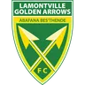 Golden Arrows logo small