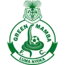 Green Mamba FC logo small