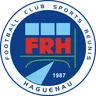 Haguenau logo small