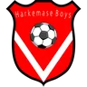 Harkemase Boys logo small