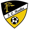 Honka Youth logo small