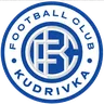 Kudrivka logo