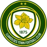 Llanidloes Town logo small