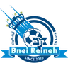 Maccabi Bnei Raina logo small